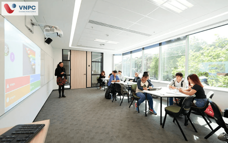 navitas english